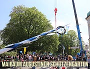 Maibaum aufstellen am 01.05.2019 im Augustiner Schützengarten in München-Obersendling (©Foto. Martin Schmitz)
